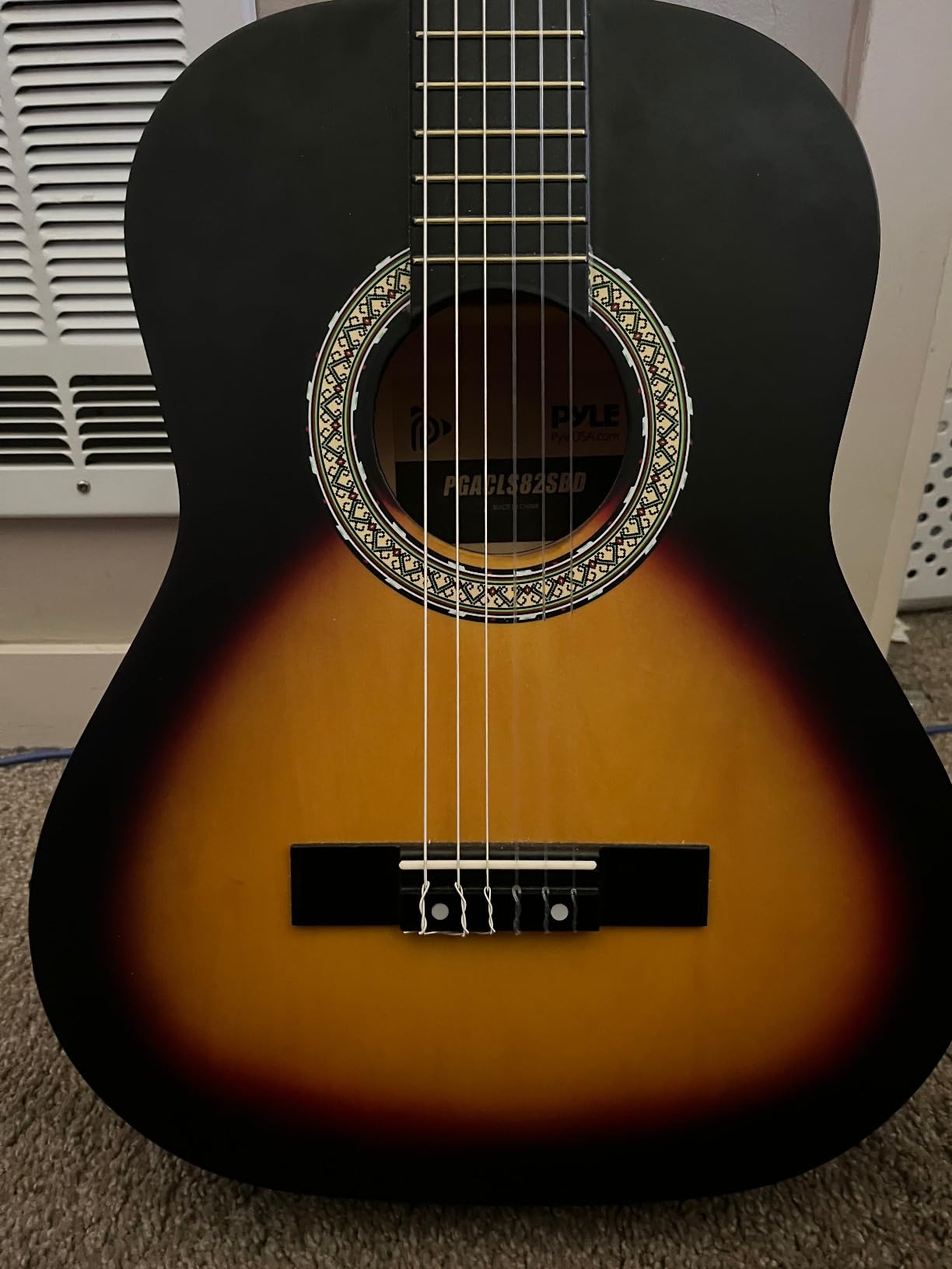 Pyle Beginner Acoustic Guitar Kit - Full Size 41