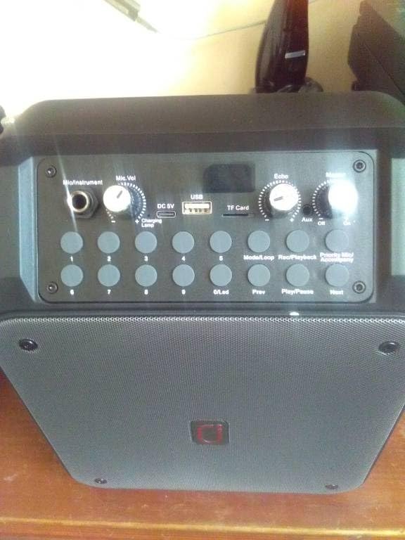 HWWR Karaoke Machine with 2 Mics for Adults & Kids, All-in-One Karaoke Set | With Vocal Processor for Natural, Authentic Sound, Automatic Bass & Treble Adjustment, Support TV/TWS Connectivity customer photo 2