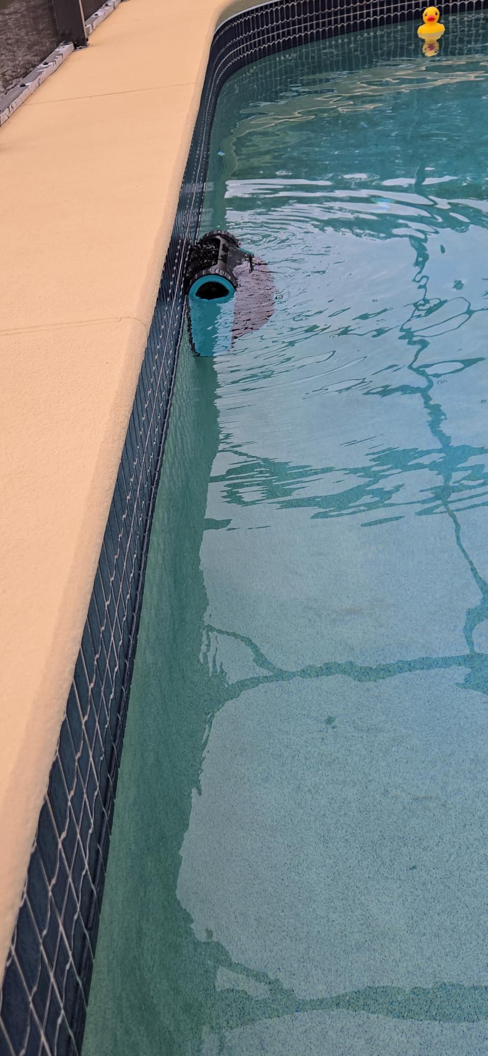 (2026 Upgrade) Aiper Scuba S1 Robotic Pool Cleaner, 270 Min Runtime, Floor/Wall/Waterline/Shallow Area Cleaning, Ultra-fine Filter, Smarter Navigation, High-Precision Sensors, App Support-Black customer photo 1