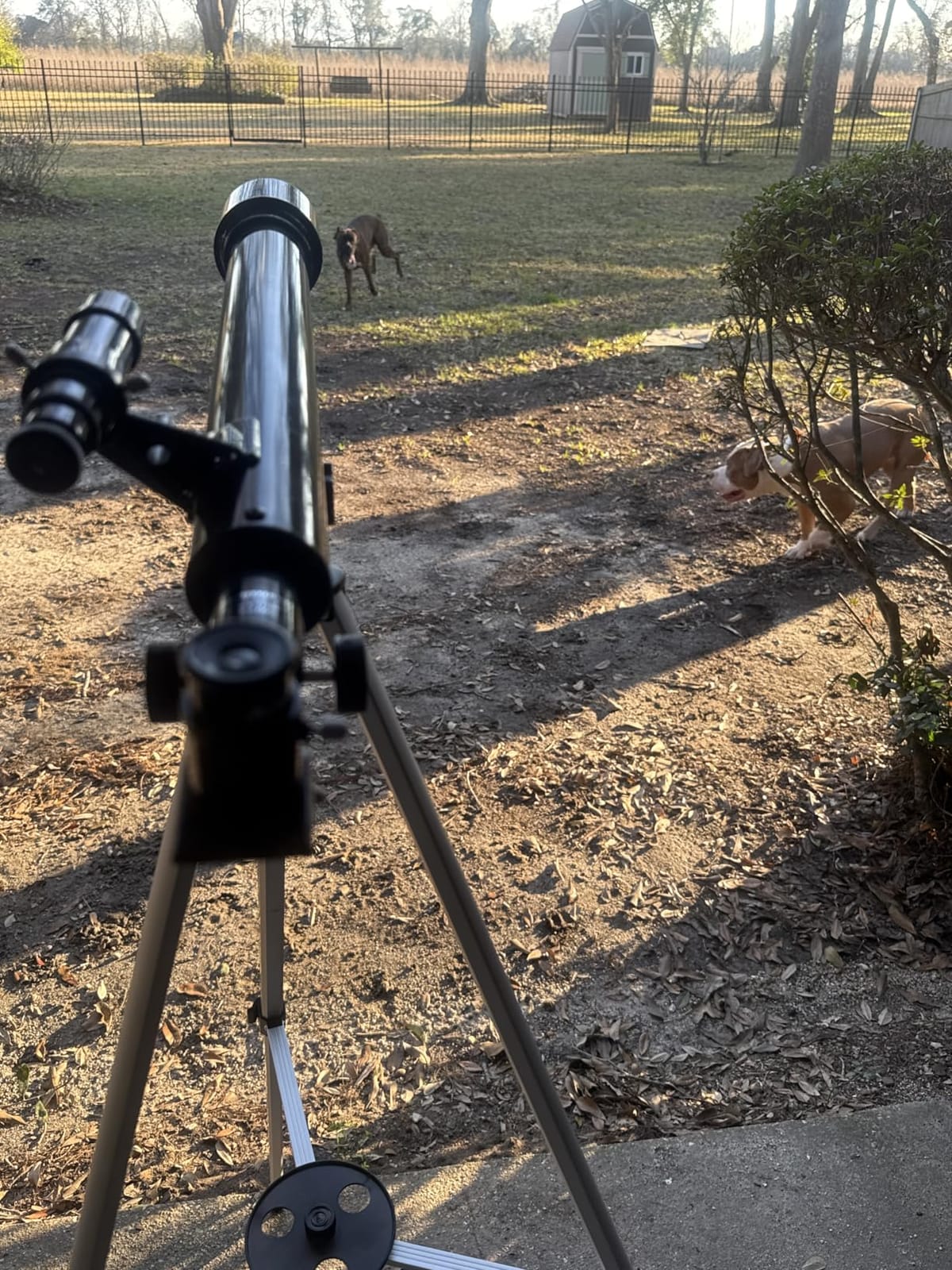 Celestron PowerSeeker 50AZ Grab-and-Go Beginner Refractor Telescope customer photo 2