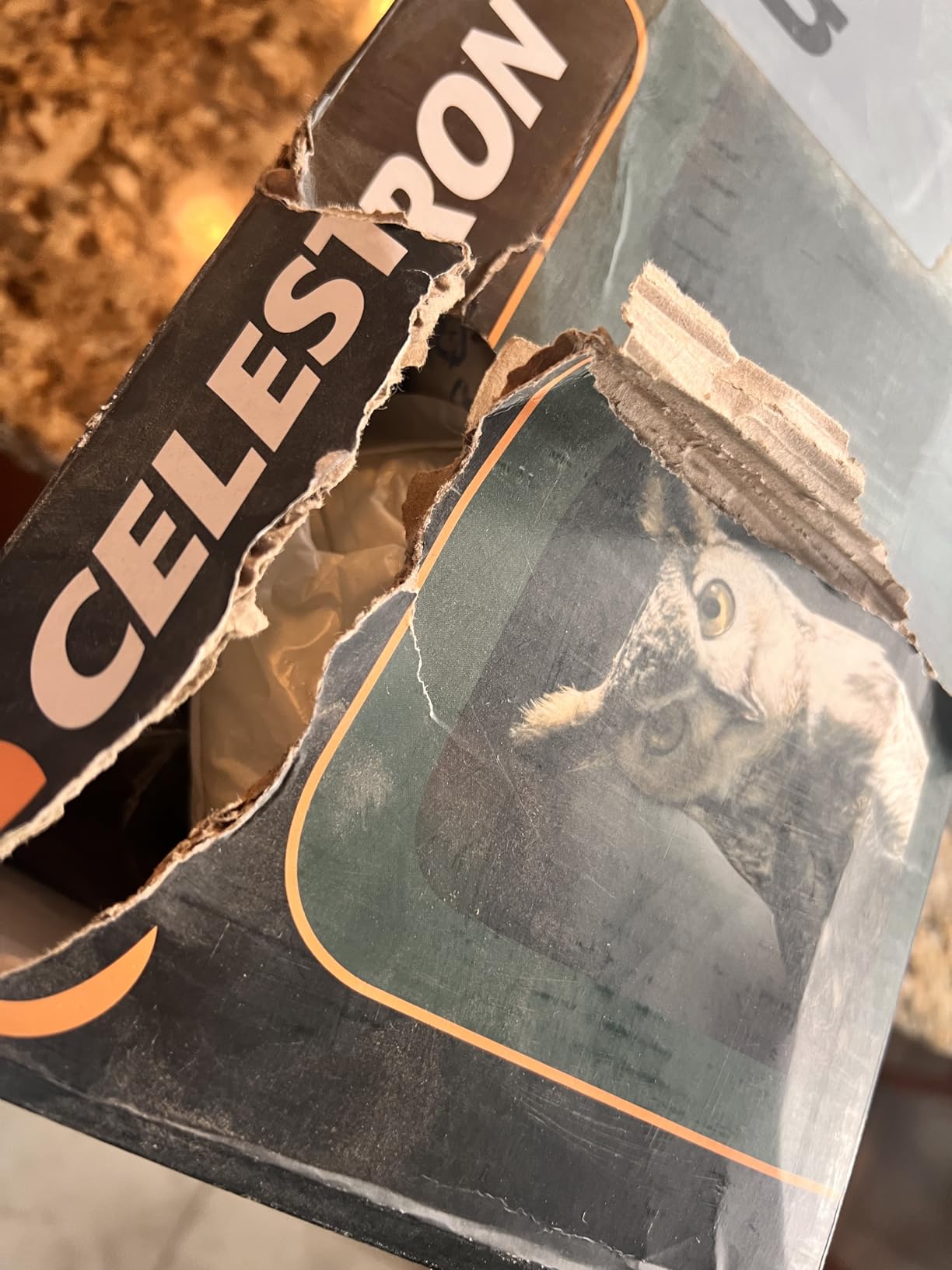 Celestron Ultima 22-66x100 Spotting Scope for Long-Range Viewing customer photo 2