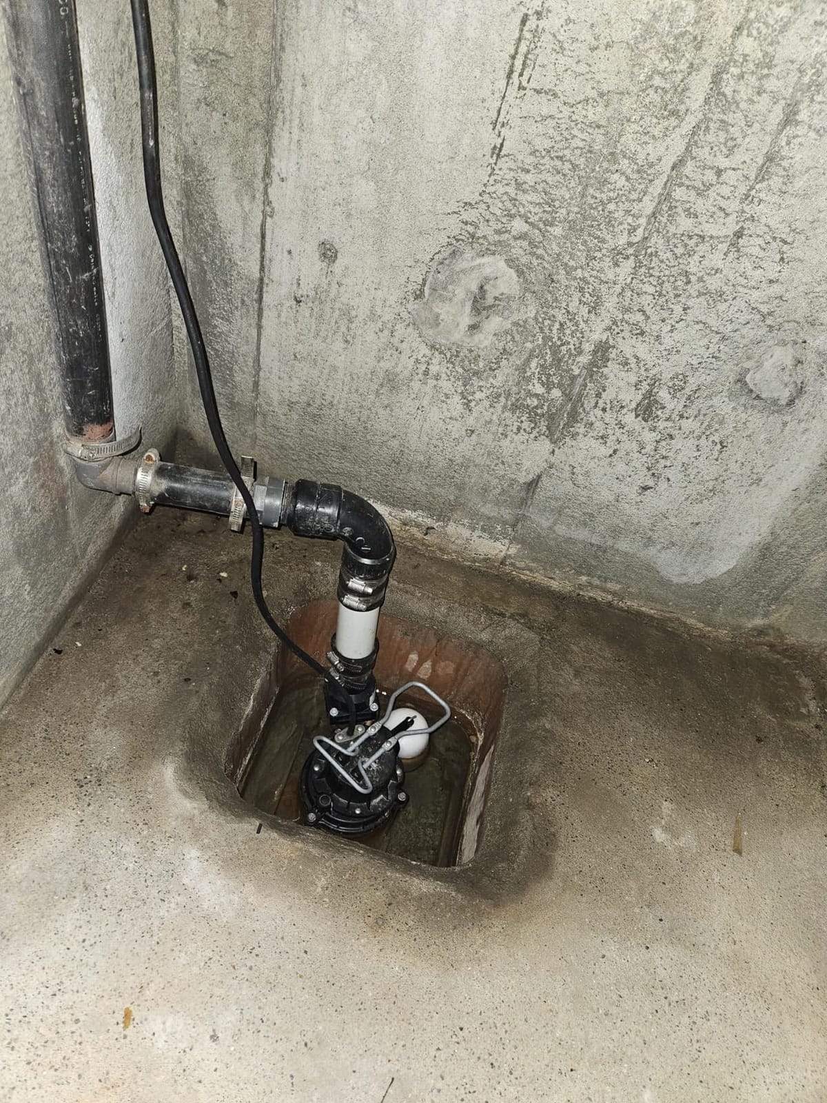 WAYNE CDU790-1/3 HP Submersible Cast Iron and Stainless Steel Sump Pump with Integrated Vertical Float Switch - Up to 4,600 Gallons Per Hour - Heavy Duty Basement Sump Pump, Black customer photo 2