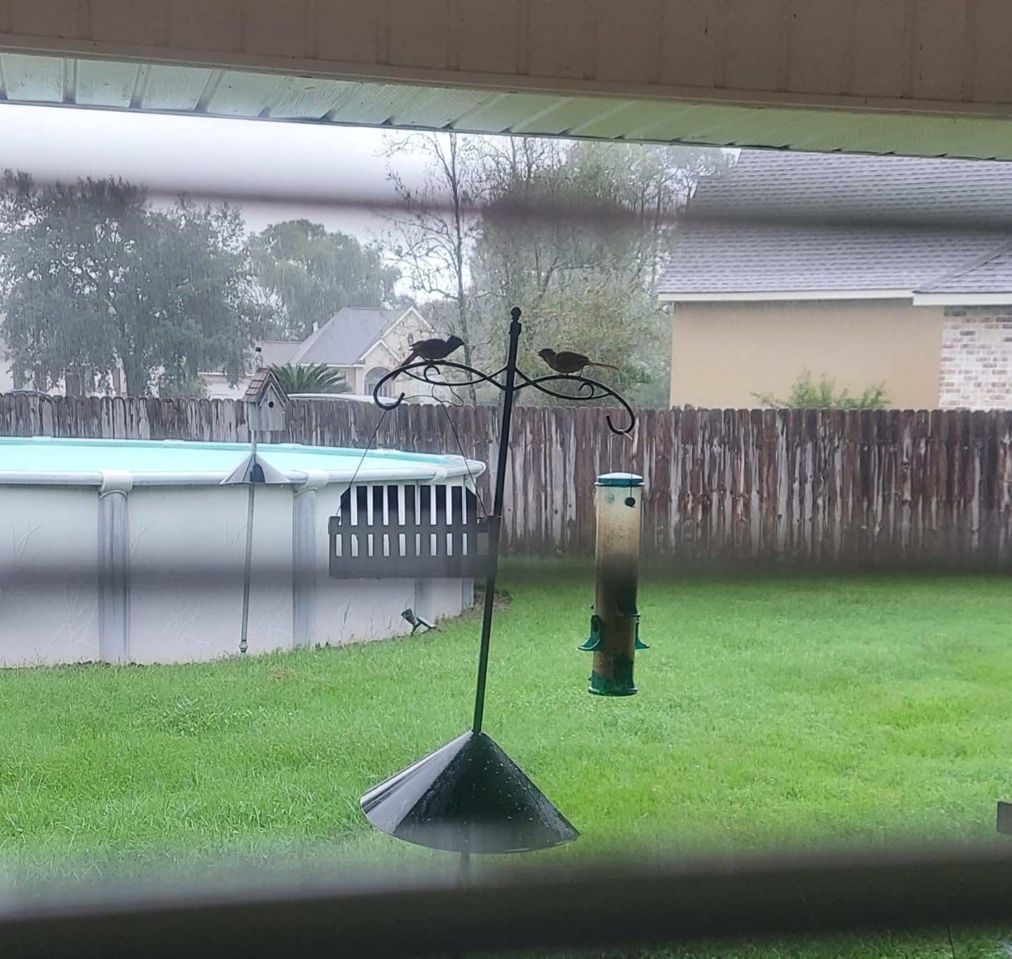 More Birds Squirrel-X Wrap Around Metal Squirrel Baffle Protects Bird Feeders From Squirrels, 18-Inch customer photo 2
