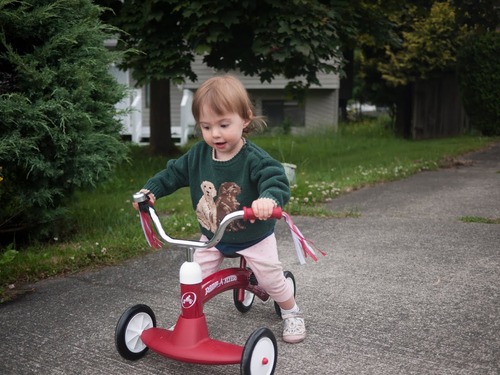 Radio Flyer Scoot About Ride On, Toddler Ride On Toys, for Toddlers 1-3 customer photo 1