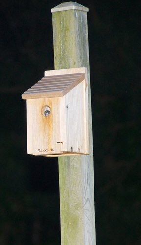 Woodlink Wooden Bluebird House - Model BB1 7.5