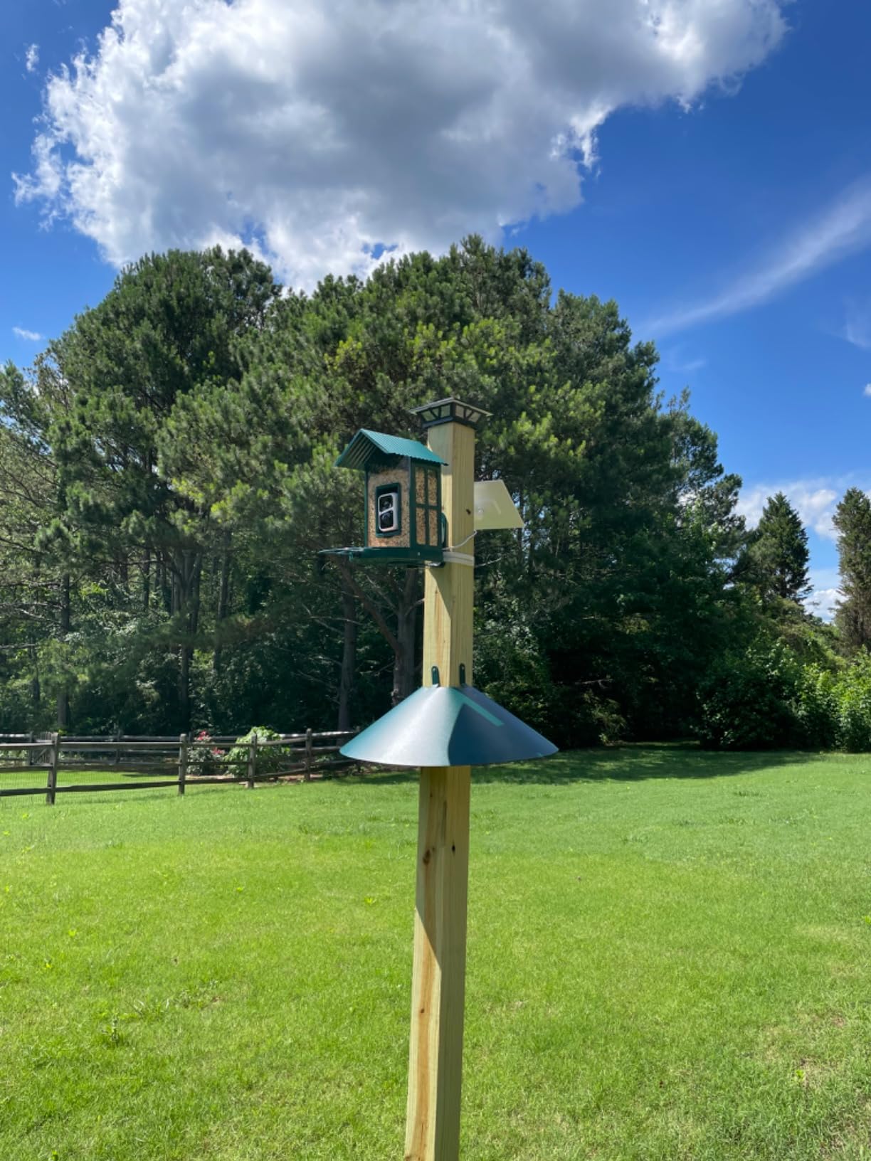 Woodlink Metal 4 x 4 Inch Wrap Around Bird Feeder Squirrel Baffle Guard Pole Posts to Deter Squirrels, Racoons, and Critters from Bird Feeders, Green customer photo 1