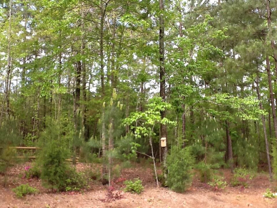 Woodlink NABB Audubon Cedar Bluebird House customer photo 1