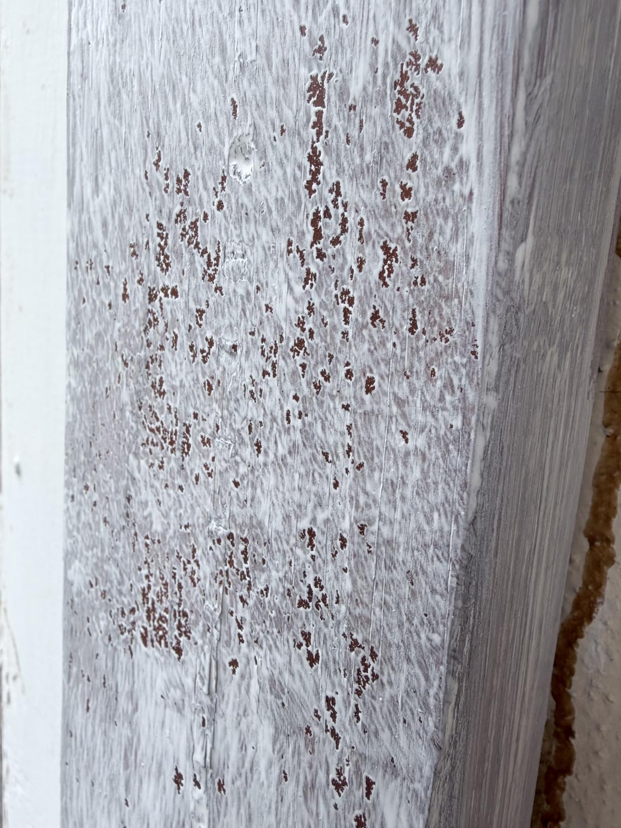 1 Gallon White Exterior Barn & Fence Latex Paint 18-3121-70 GL customer photo 2