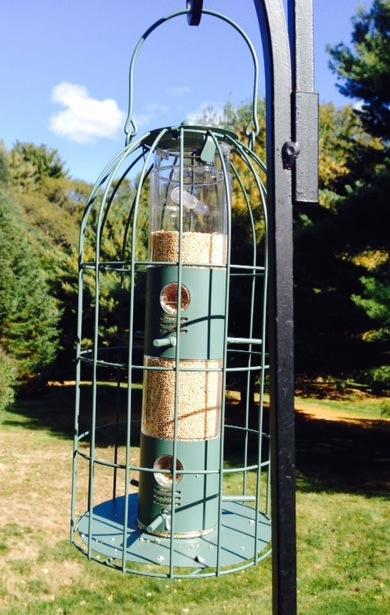 84075 White Proso Millet Wild Bird Food, 50-Pound customer photo 1