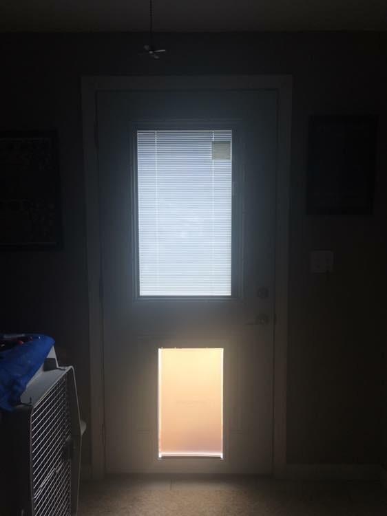 PetSafe Freedom Aluminum Pet Door, Vinyl Flap, Up to 220 lb, X-Large, White customer photo 2