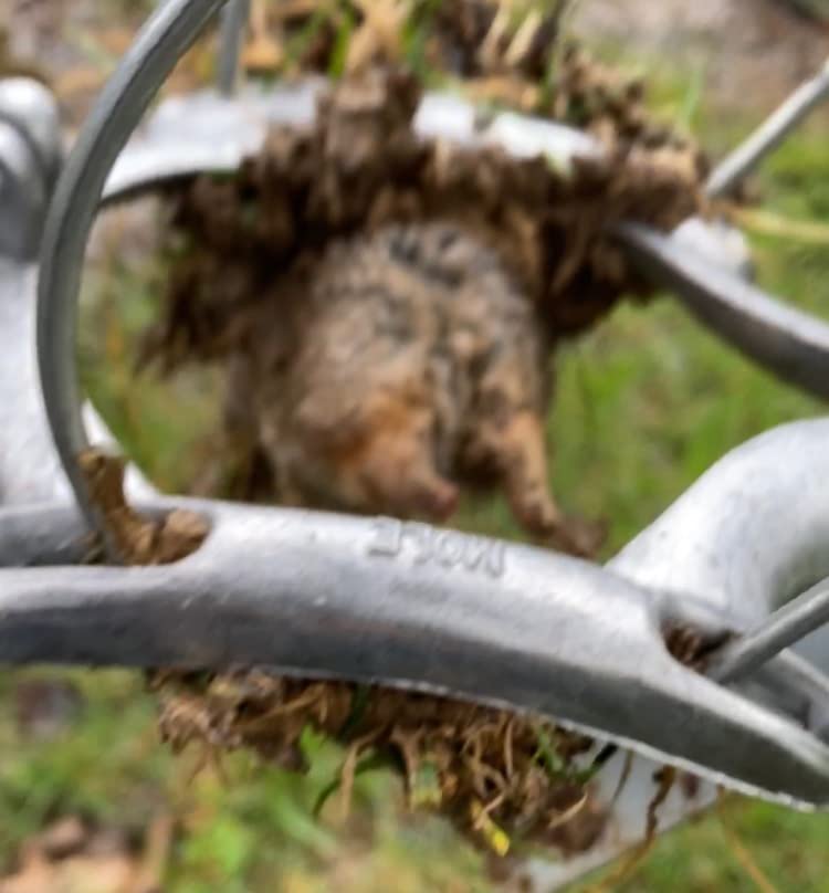 Nash 100 Choker Loop Mole Trap customer photo 1