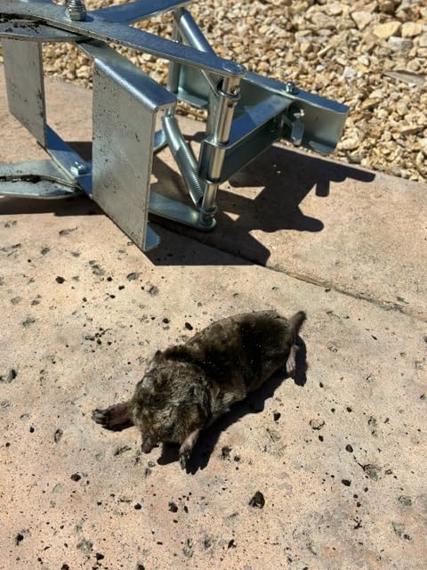 Wire Tek 1001 EasySet Mole Eliminator Trap (1) customer photo 1