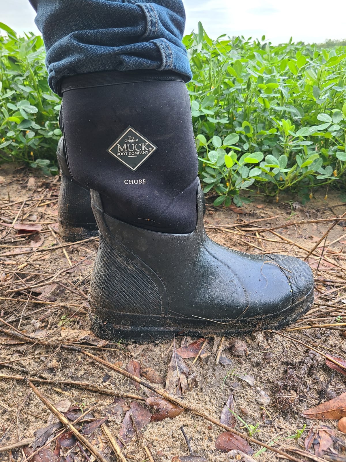 MUCK Men's Chore Classic Tall Work Boot customer photo 2