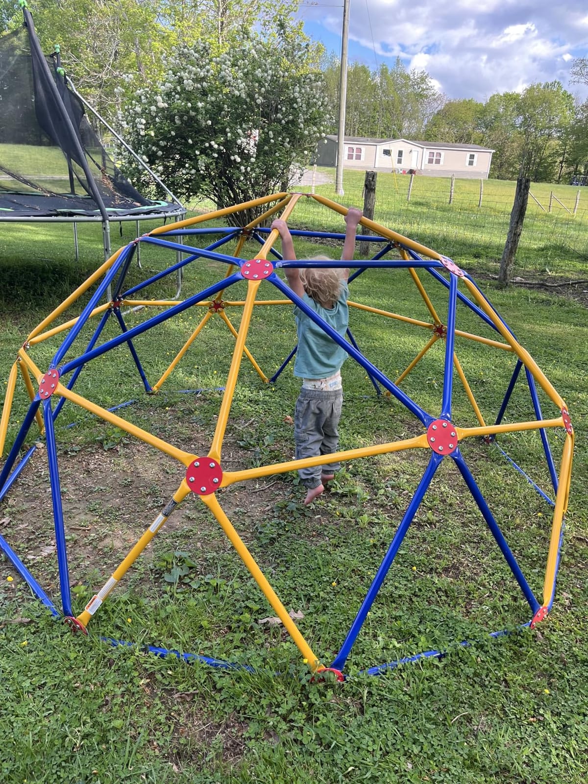 EASY OUTDOOR Space Dome Climber for Kids Backyard Jungle Gym 1000 lb GD-810 customer photo 1