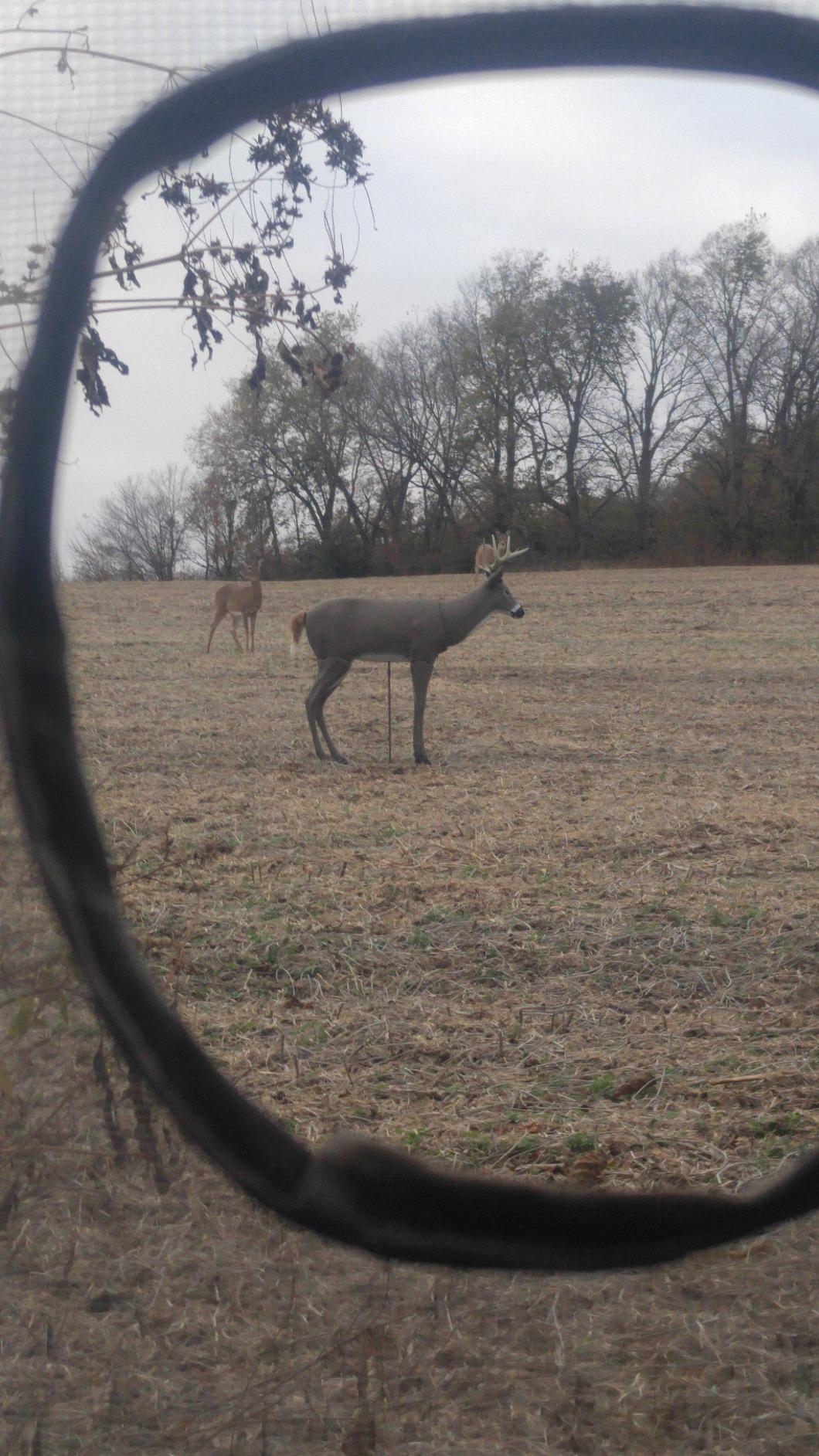 PRIMOS HUNTING Scarface Decoy customer photo 1