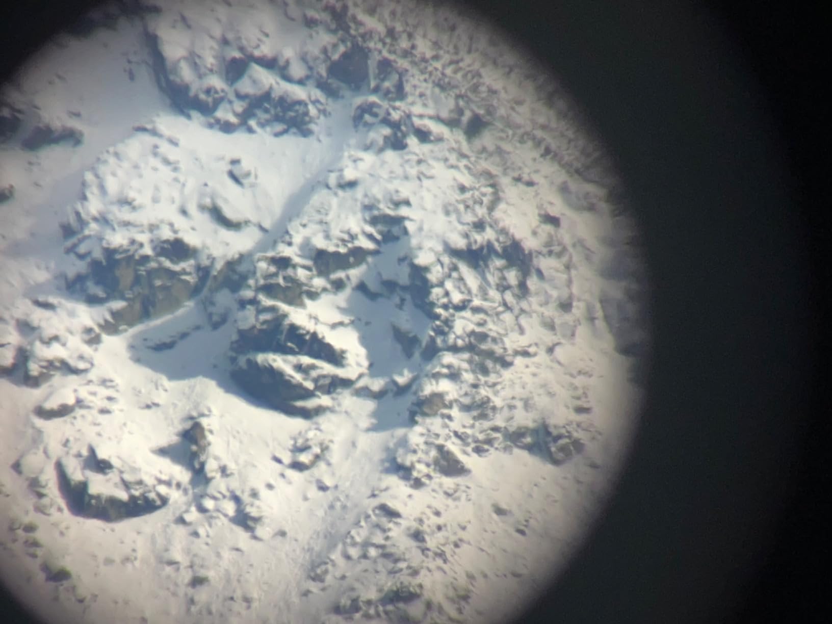 Vortex Viper HD Spotting Scopes customer photo 2