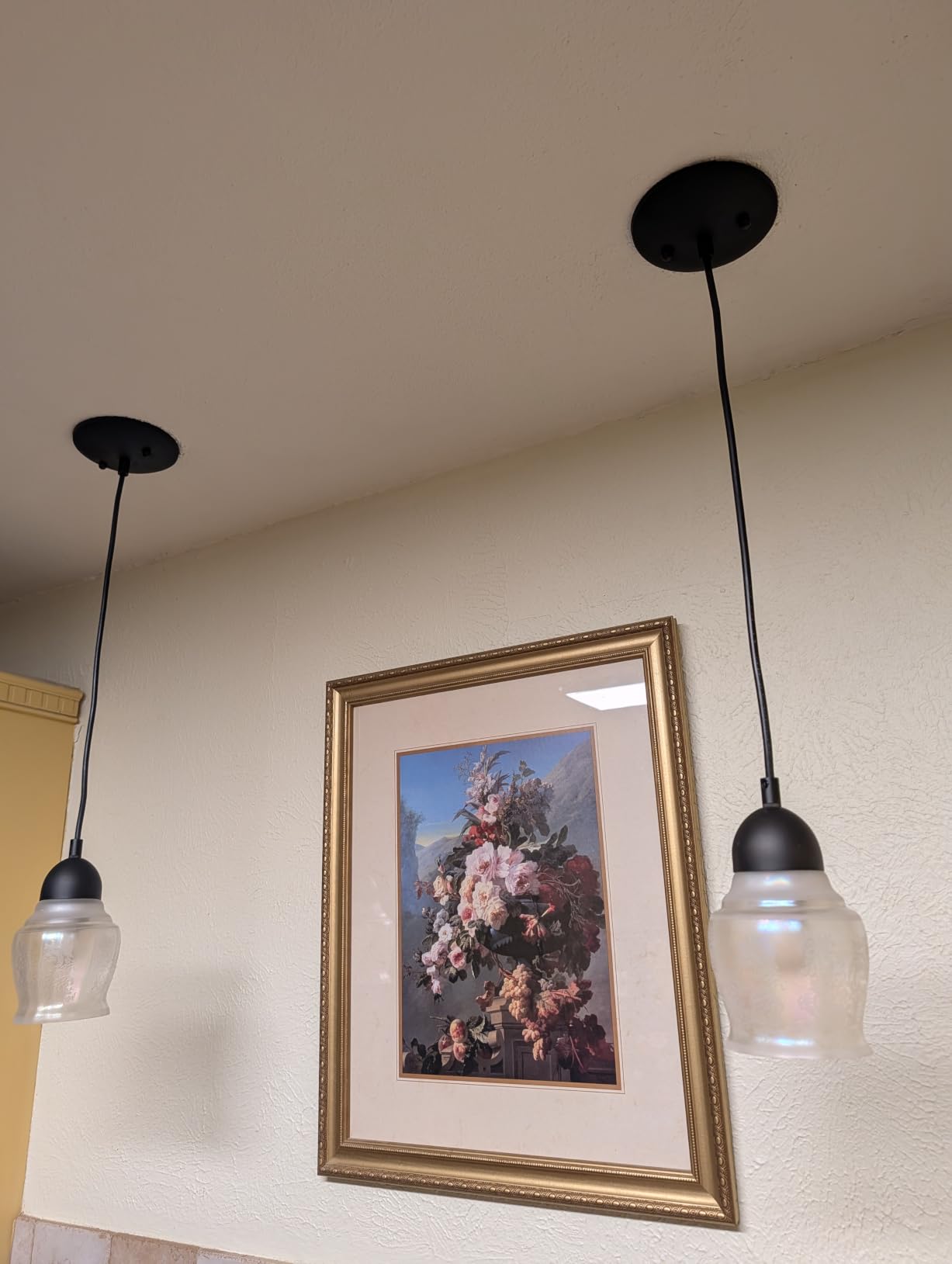 Westinghouse 7028400 Single-Light Mini-Pendant Kit with Nickel Finish customer photo 2