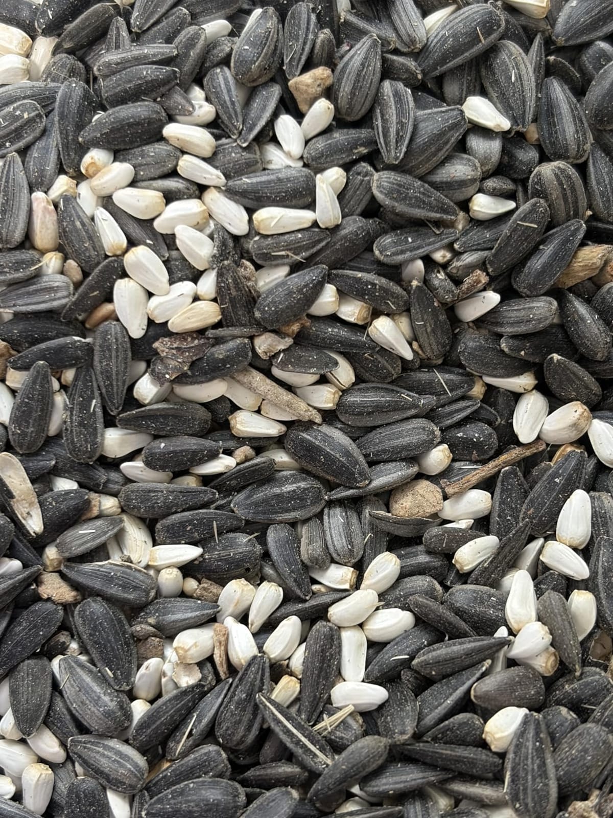 Audubon Park Cardinal Blend Wild Bird Food, Cardinal Bird Seed for Outside Feeders, 4-Pound Bag customer photo 1