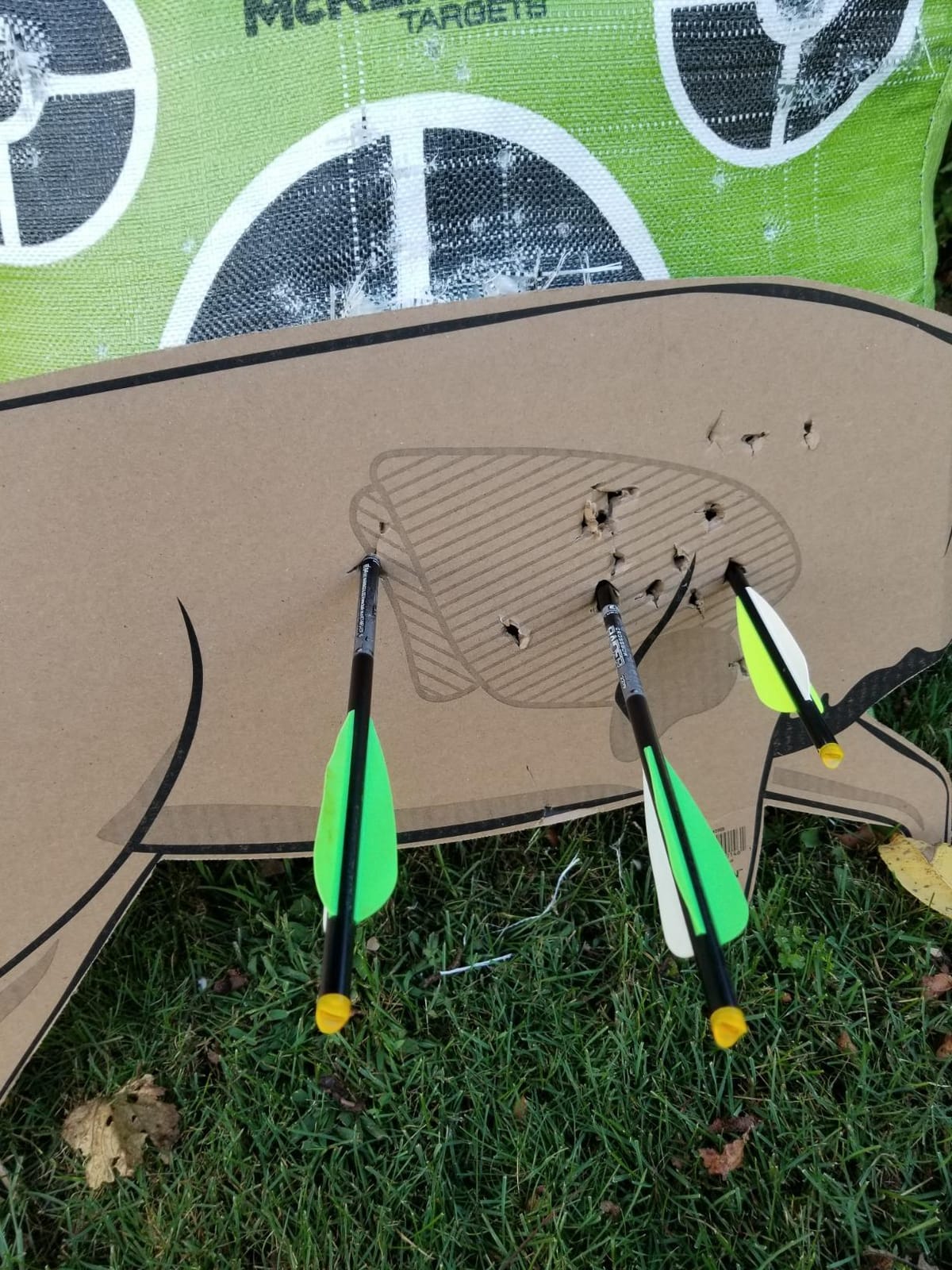 New Archery Products Spitfire 3-Blade Durable Precise Front-Deploying Archery Mechanical Broadhead for Crossbow - 3 Pack customer photo 1