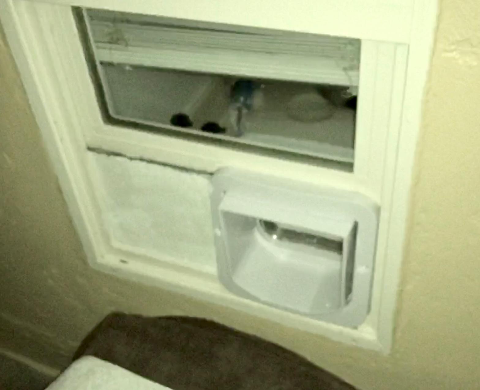 SureFlap - Sure Petcare Microchip Cat Flap, White, Scans Pet's ID on Entry, Check Your Cat's Size,Flap Opening is 4 3/4” (H) by 5 5/8” (W) customer photo 2