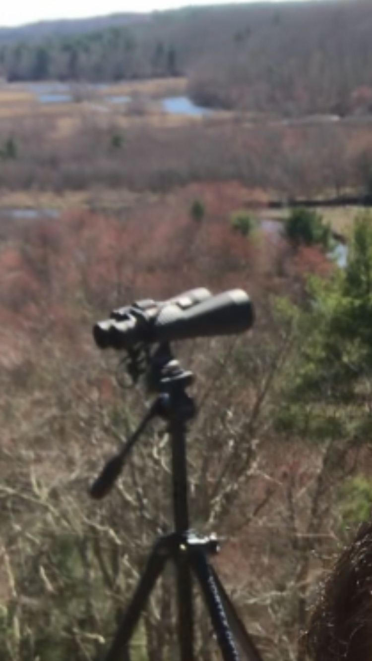 Celestron Binocular Tripod Adapter with Standard 1/4