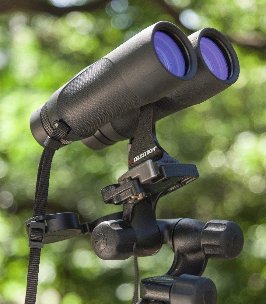 Celestron Binocular Tripod Adapter with Standard 1/4