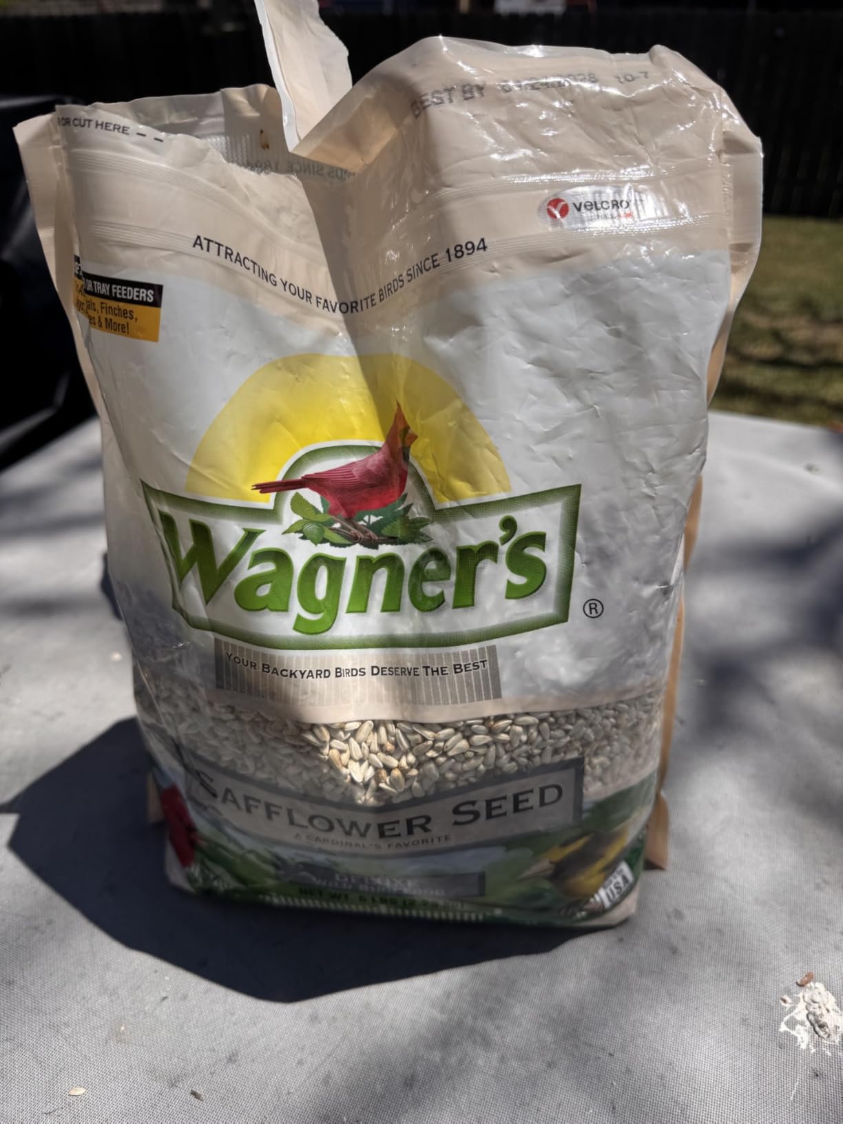 Wagner's 57075 Safflower Seed Wild Bird Food, 5 Pound (Pack of 1) customer photo 2
