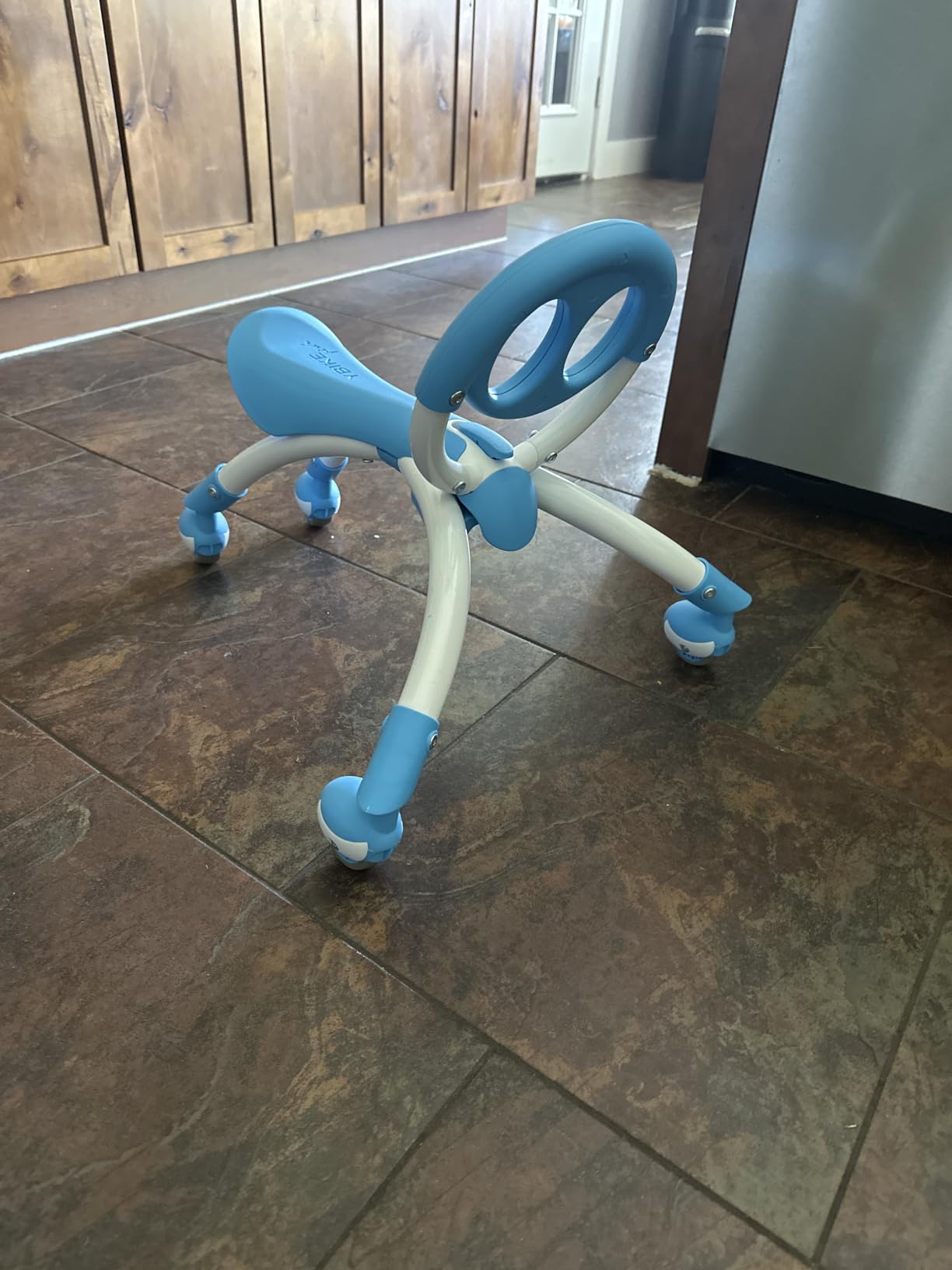 YBIKE Pewi Walking Ride On Toy - from Baby Walker to Toddler Ride On for Ages 9 Months to 3 Years Old, YPIW3, Blue customer photo 1