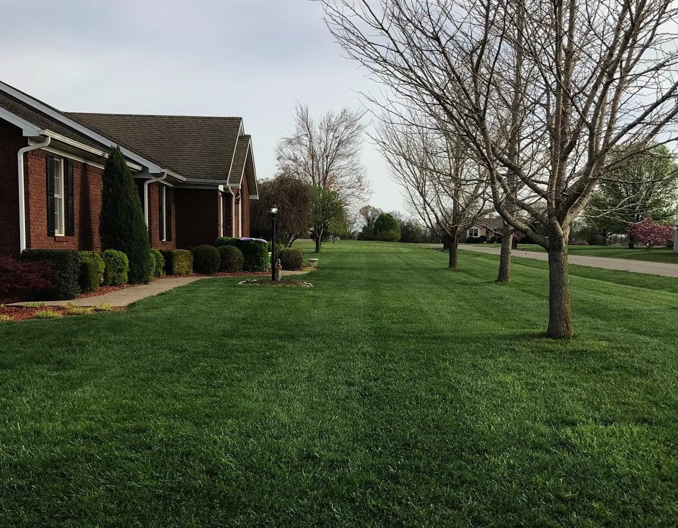 Quali-Pro Prodiamine, Pre-Emergent Herbicide, 5 lbs, Yellow Granules customer photo 2