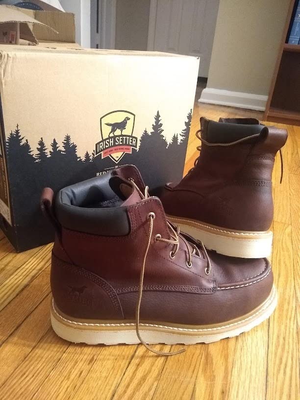 Irish Setter Ashby 6
