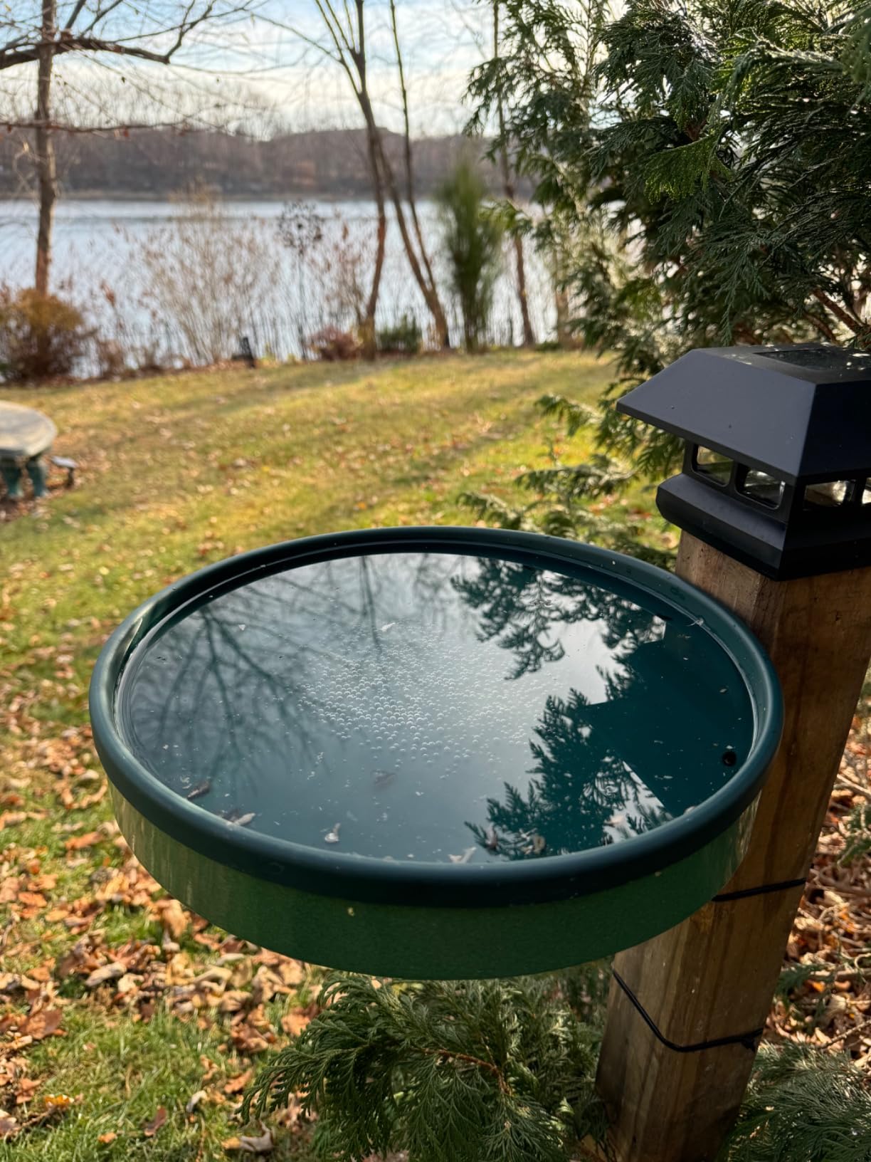 Farm Innovators 75W Heated Bird Bath for Outdoors, 14 Inch, Terracotta customer photo 1