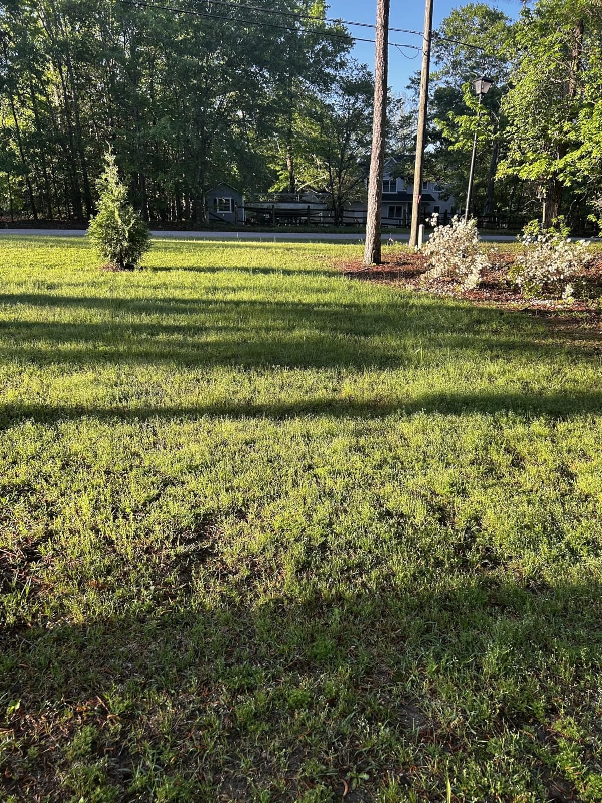 Hi-Yield (33030) Turf & Ornamental Weed & Grass Stopper, 12 lbs customer photo 2