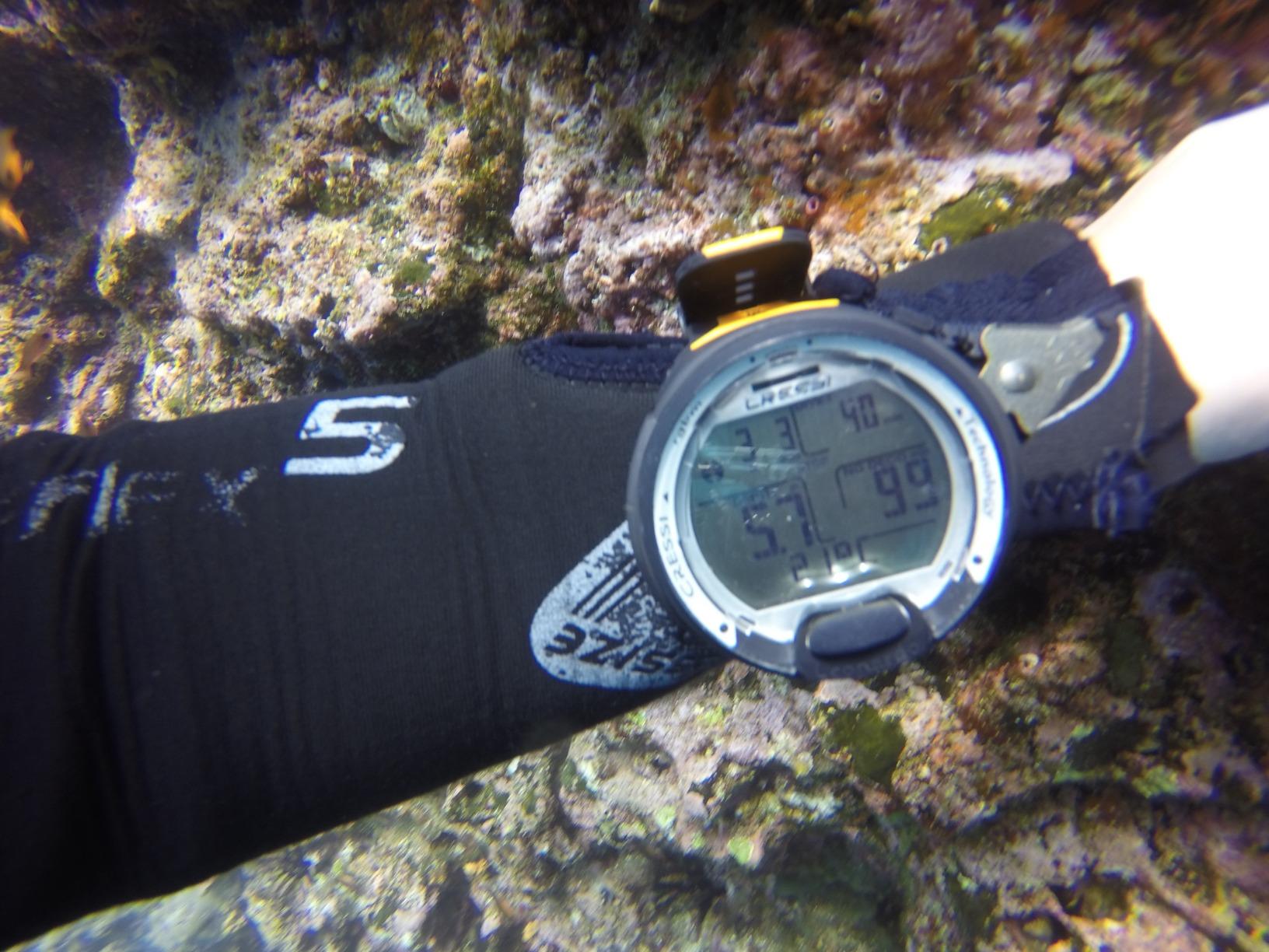CRESSI Leonardo 2.0 Scuba Dive Watch, Air Nitrox Gauge, White/Black | Dive Computer, Air Nitrox Gauge Modes, Single-Button Control, Visual & Audible Alarm, USB & Infrared Transfer, Diving Watch customer photo 2