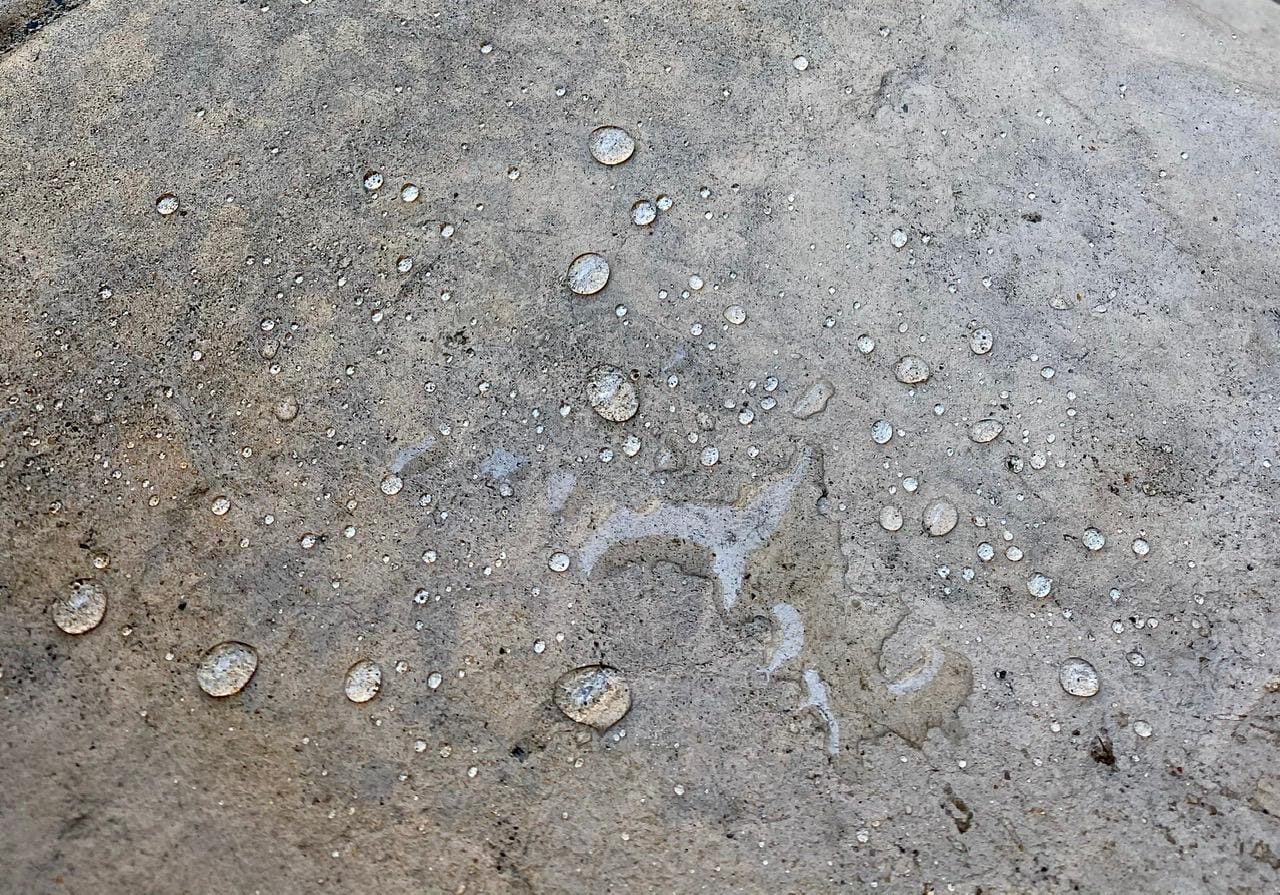 DryWay Silane Siloxane Penetrating Concrete Driveway Sealer, Natural Finish customer photo 2