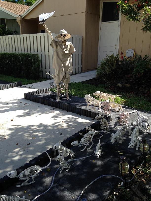 Crazy Bonez Original Pose-N-Stay Halloween Skeleton, 5 FT – Life-Size | Realistic, Fully Poseable Indoor & Outdoor Decoration, Durable Plastic Spooky Prop for Yard, Porch, Haunted House customer photo 1