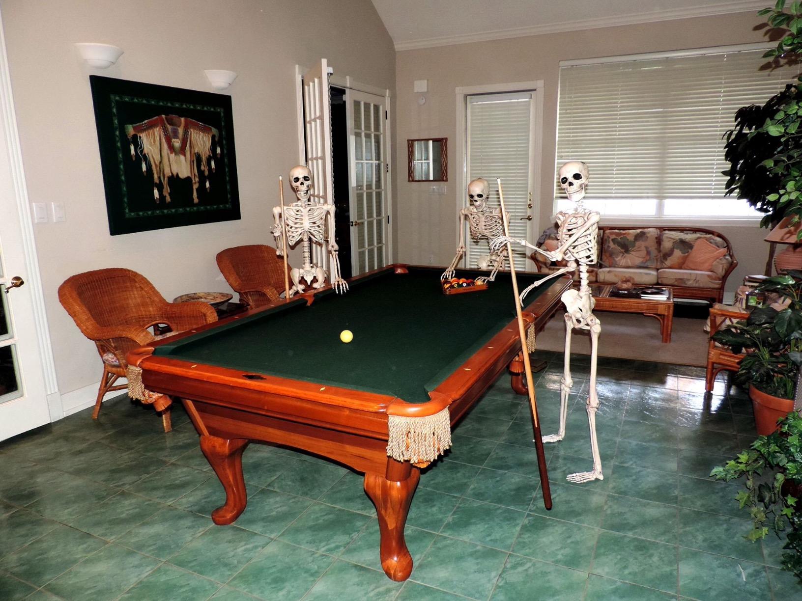 Crazy Bonez Original Pose-N-Stay Halloween Skeleton, 5 FT – Life-Size | Realistic, Fully Poseable Indoor & Outdoor Decoration, Durable Plastic Spooky Prop for Yard, Porch, Haunted House customer photo 2