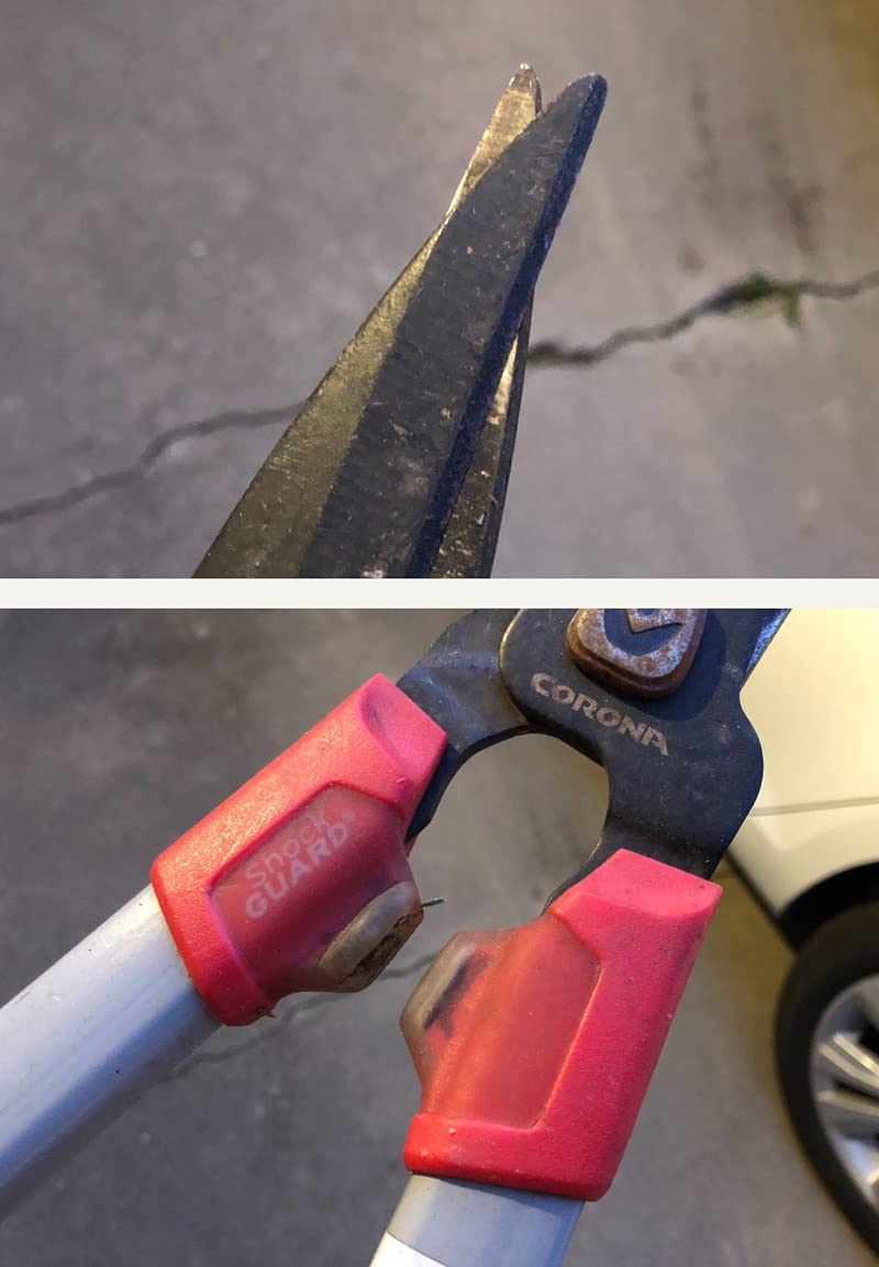 Corona Tools | 30-inch Branch Cutter ComfortGEL Bypass Loppers | Tree Trimmer Cuts Branches up to 1 ½-inches in Diameter | SL 3264 customer photo 2