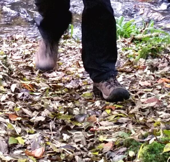 KEEN Men's Targhee 2 Mid Height Waterproof Hiking Boots customer photo 1