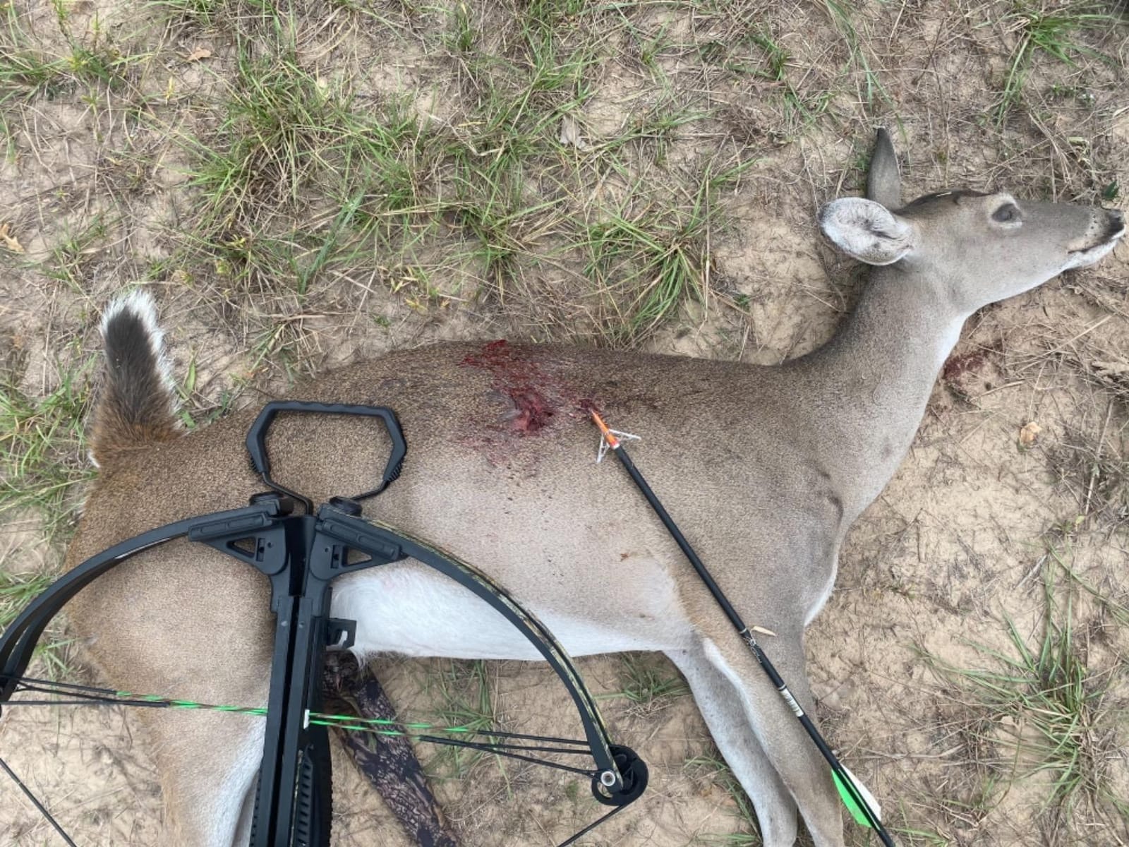 Rage Crossbow X, 2-Blade Archery Arrow Broadhead, 100 Grain with Shock Collar Technology (3-Pack) customer photo 2