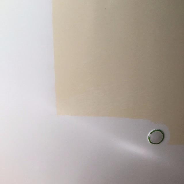 KILZ Stainblocking Ceiling Paint, Interior, White, 1 Gallon customer photo 2
