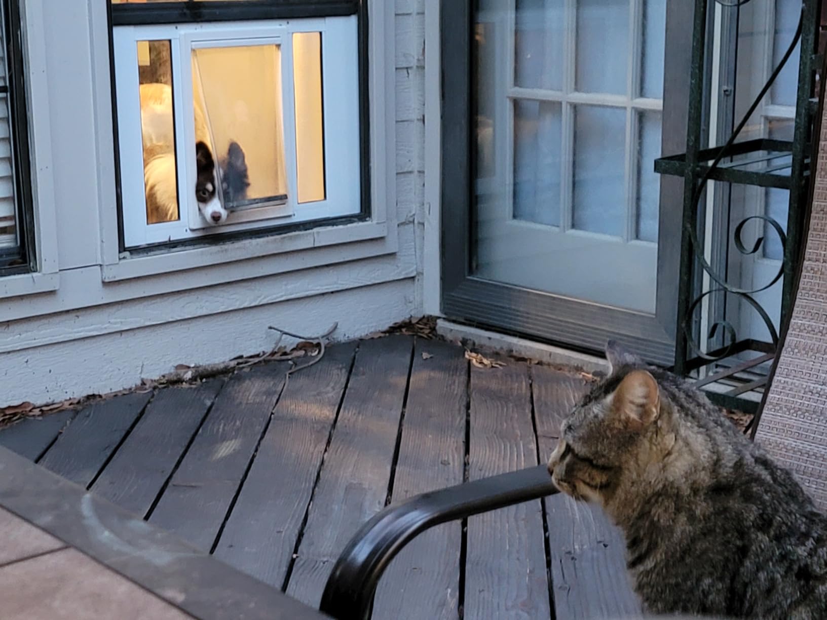 Ideal Pet Products Aluminum Sash Window Pet Door customer photo 1