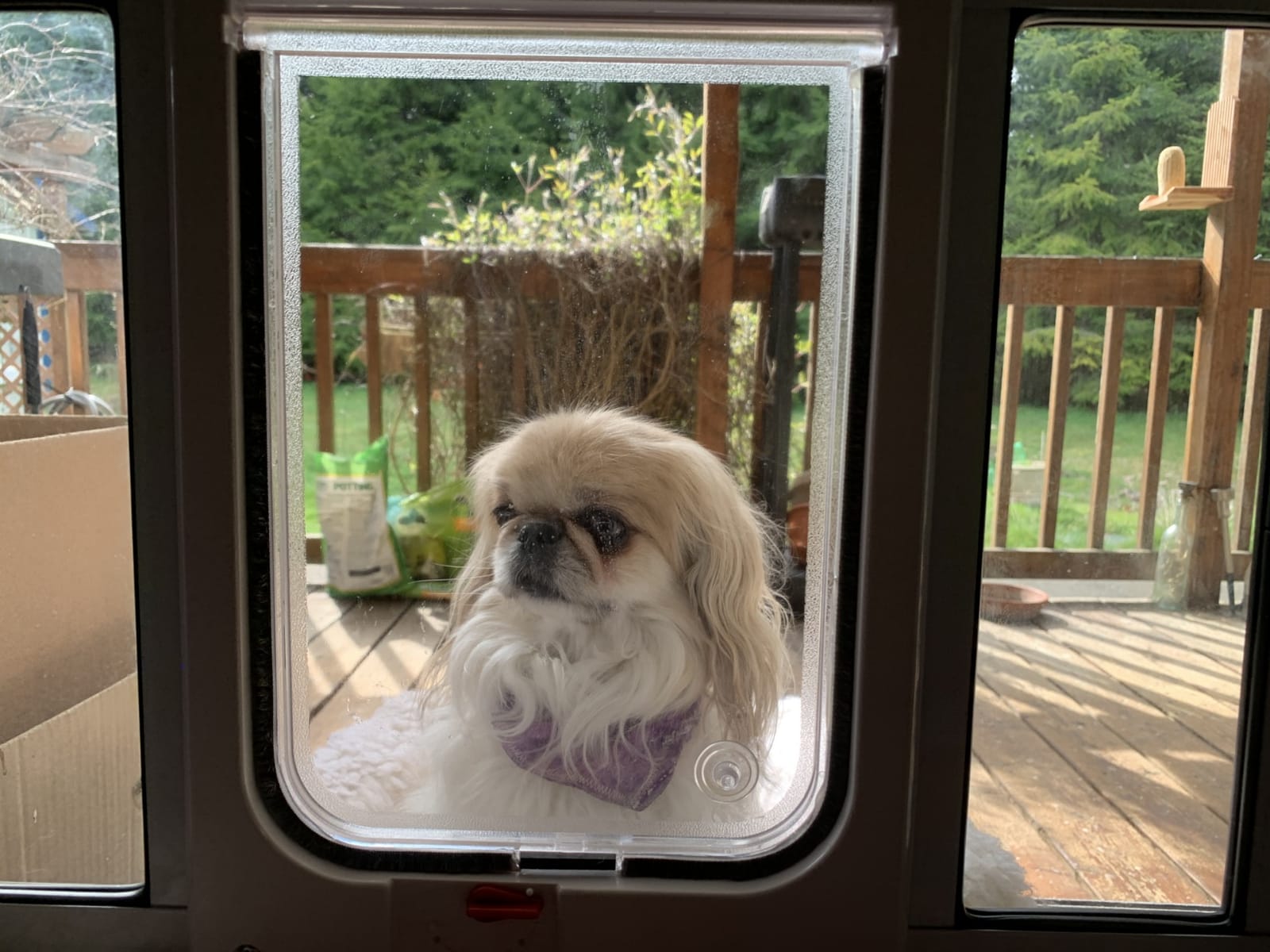 Ideal Pet Products Aluminum Sash Window Pet Door customer photo 2