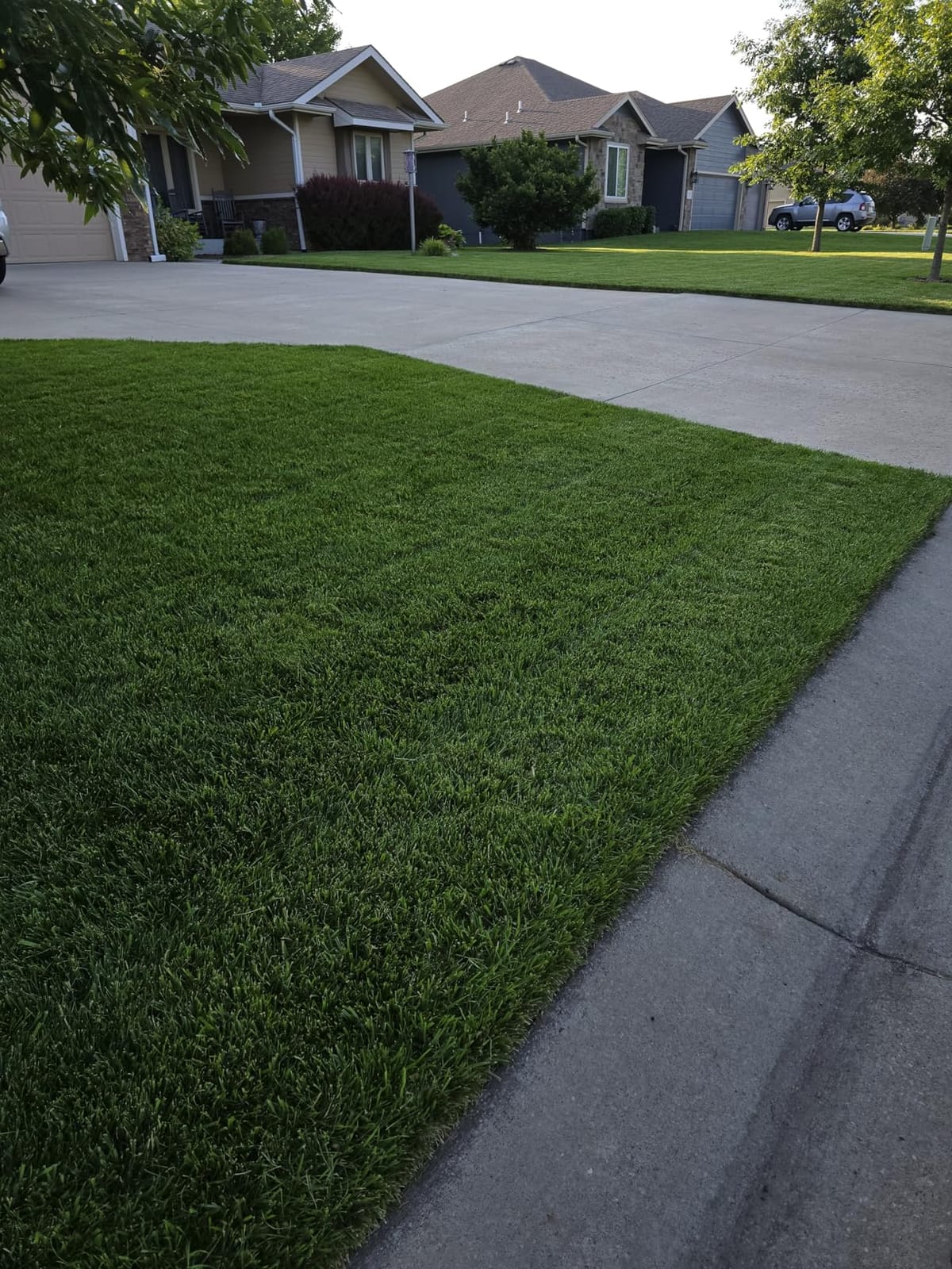 GreenView Crabgrass Control Plus Lawn Food, Crabgrass Preventer, 13.5 lb. customer photo 2