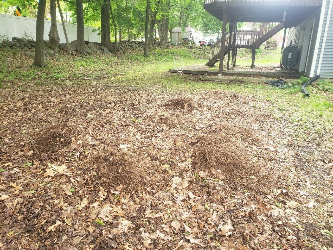 Sun Joe SDJ616 13-Amp Electric Leaf Mulcher/Shredder 13-Amp 16:1 Reduction Ratio, 8,000-RPM, Mulch up to 55-Gallons per Minute, Adjustable Control Dial customer photo 1