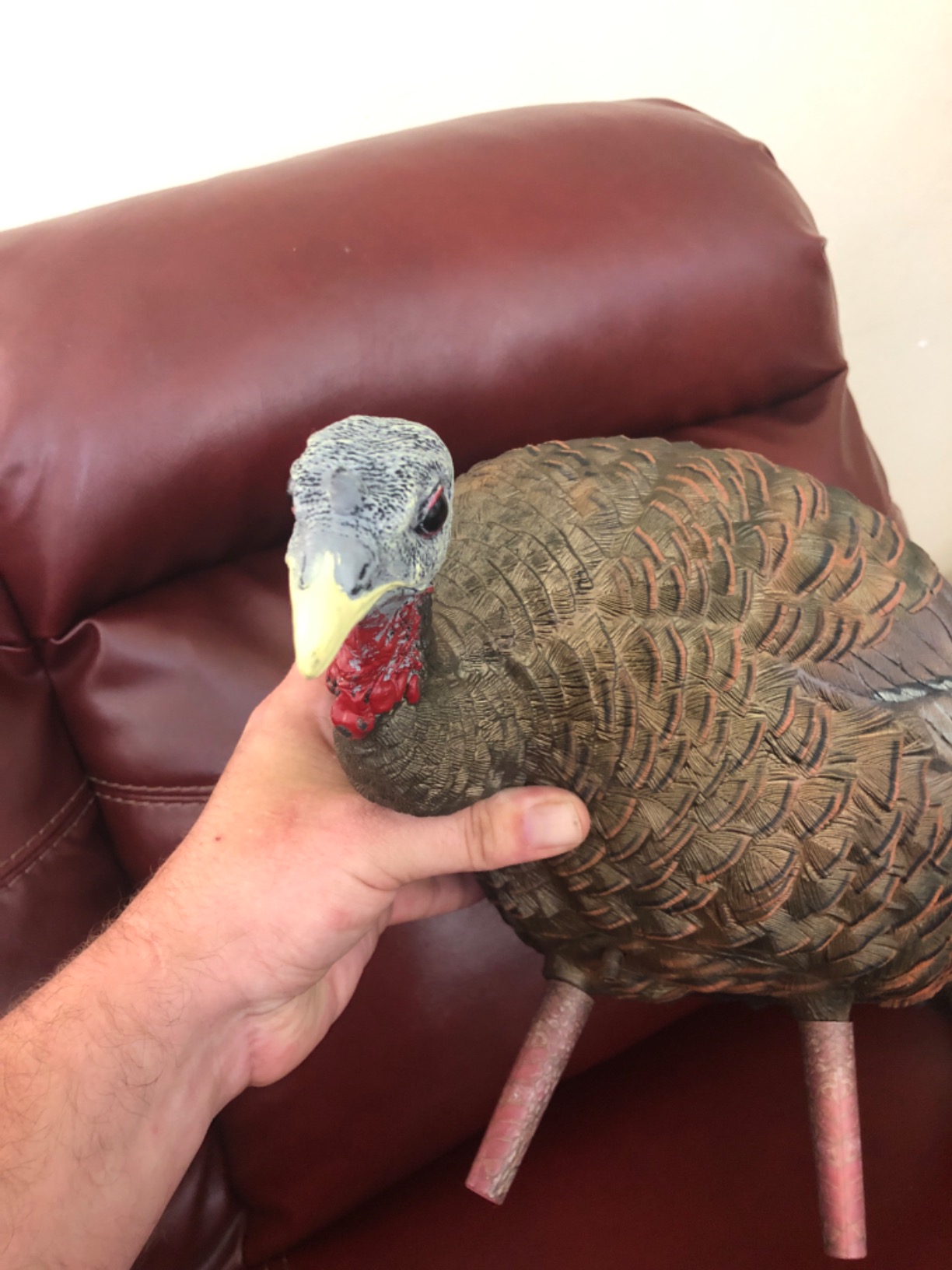 AVIAN-X LCD Feeder Hen Turkey Decoy | Durable Realistic Lifelike Collapsible Standing Hunting Decoy with Carry Bag & Stake, AVX8007 customer photo 1