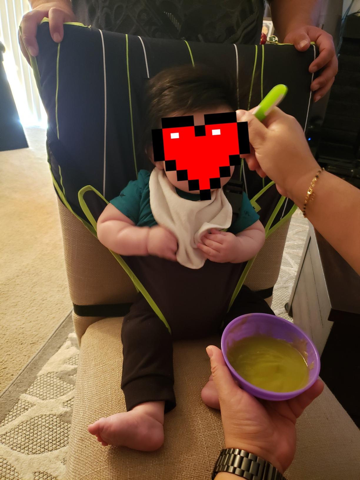 Cozy Cover Easy Seat – Portable Travel High Chair and Safety Seat for Infants and Toddlers (Black/Green) customer photo 1