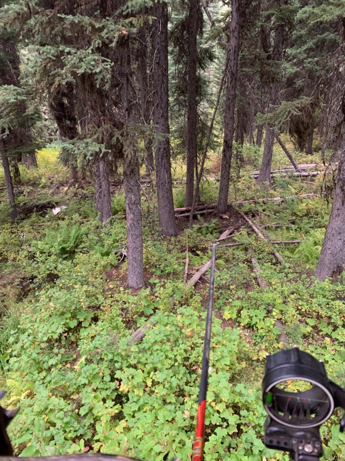 Summit Treestands Viper SD Climbing Treestand, Choose Camo customer photo 1