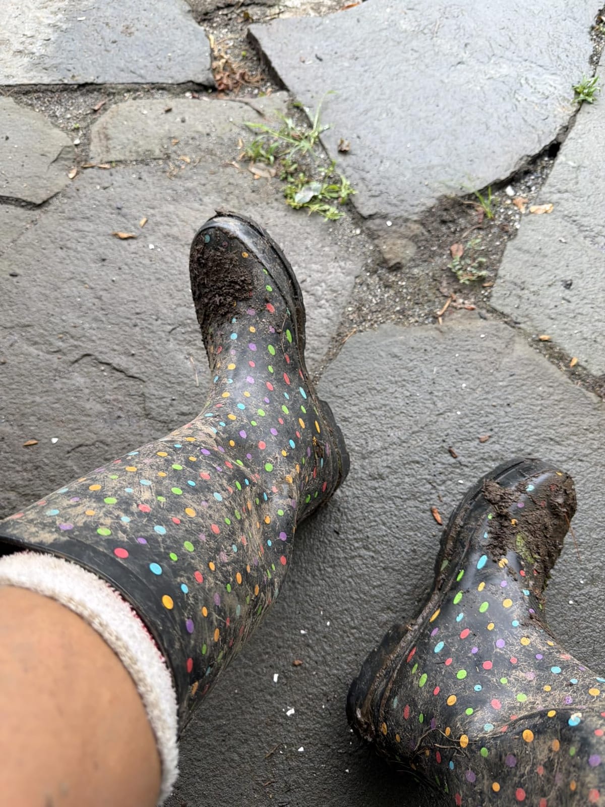 Western Chief Women's Tall Waterproof Rain Boot Outdoor Garden Shoes customer photo 2