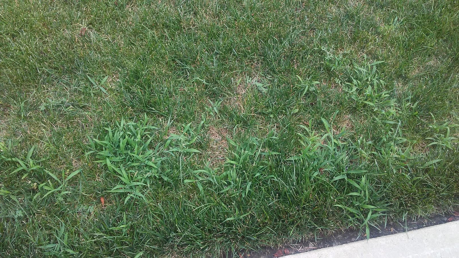 Preen Lawn Crabgrass Control 15 lb. Bag, Covers 5,000 sq. ft. customer photo 1