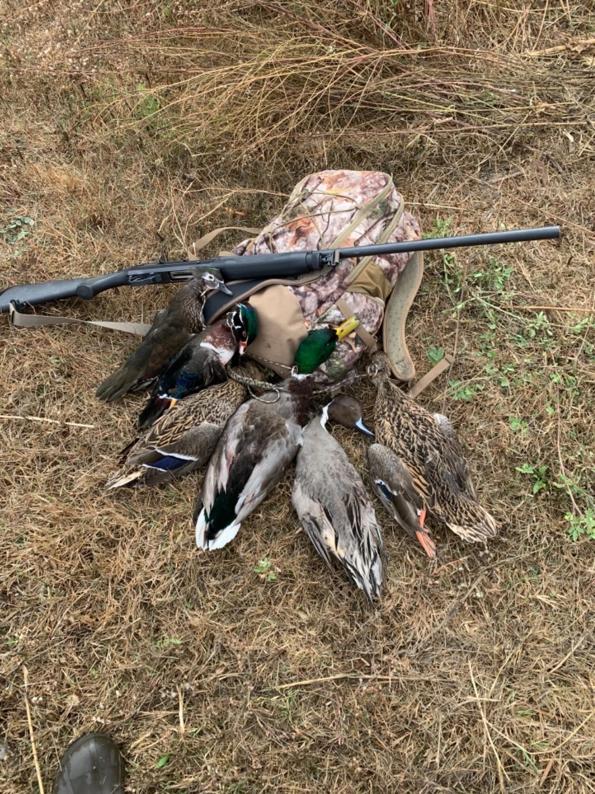 Avian-X Topflight Blue-Winged Teal Duck, Realistic Floating Outdoor Duck Decoys customer photo 1